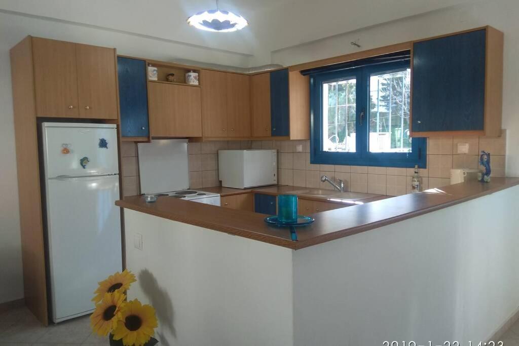 Blue Velvet Apartment Paránimfoi المظهر الخارجي الصورة